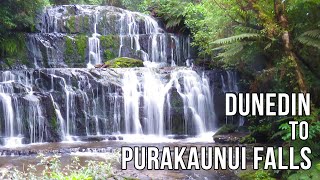 Driving New Zealand: Dunedin to Purakaunui Falls, The Catlins. Southern Excursion Part 4.