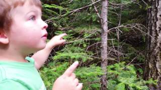 Luka the tour guide July 27/2016 at Blue Lake Ontario