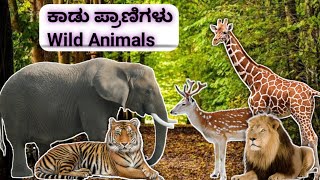 Wild Animal name in English and Kannada with pictures. ಚಿತ್ರಗಳೊಂದಿಗೆ ಕಾಡು ಪ್ರಾಣಿಗಳ ಹೆಸರು.