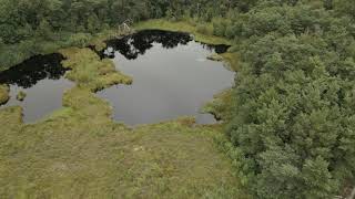 Dronebeelden van Staatsbos Staphorst: Natuurpracht vanuit Vogelperspectief