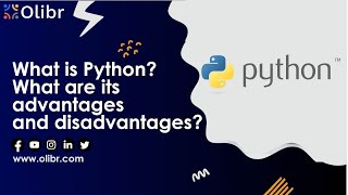 WHAT IS PYTHON? WHAT ARE ITS ADVANTAGES AND DISADVANTAGES?