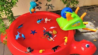 AQUATIC ANIMALS FOR TODDLERS: NAMES AND VIDEOS - SEAHORSE, CRAB, SEA LION, NARWHAL, AND MORE