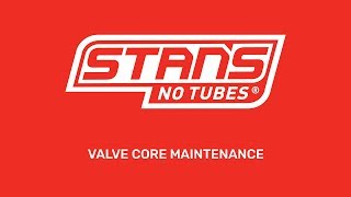 Valve Core Maintenance