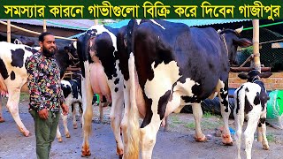 সমস্যার করনে গাভীগুলো বিক্রি করে দিবেন dairy farm