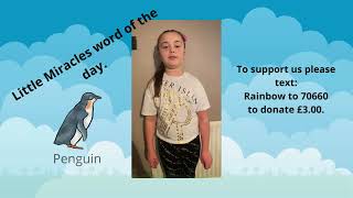 Little Miracles word of the day: Penguin