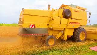 Harvester working in Pakistan | Village Life