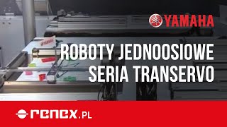 Roboty jednoosiowe – Seria Transervo