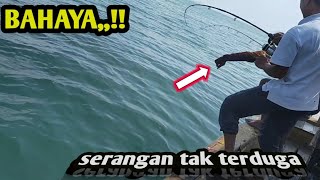 Joran dan reel ukuran badak gak mampu hadapi tarikan ikan kerapu besar || wild fishing