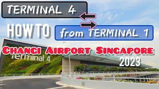 SG VLOG #9 Cara Menuju Terminal 4 dari Terminal 1 Changi Airport Singapore 2023 #transitdisingapore