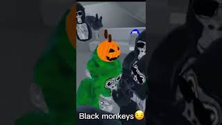 Gorilla tag monkeys -not my vid-