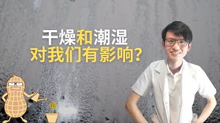 干燥和潮湿对我们的健康有什么影响？|【新型冠状病毒】花生健康医药 EP10