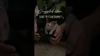 One Line a Day Challenge | Snuggled close lost in Cartoon | kitten watching cartoons | yt shorts