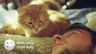 Quinn Lewis - Castle Walls