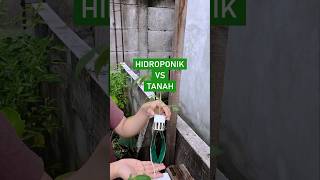 Hidroponik Vs Tanah