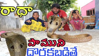 నాగుపాము ని రాళ్లతో కొడితే / Nagu Pamu ni Kodithe / Radha Videos /Maa Village Show