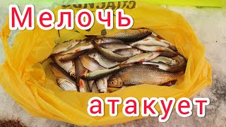 Мелочь атакует.