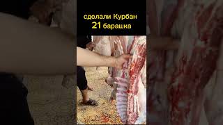 Как проходит праздник Адха в Сирии #история #люди #ислам