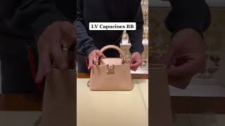 LOUIS VUITTON CAPUCINE BB HANDBAG