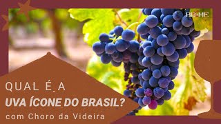 Qual a uva ícone do Brasil?