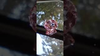 Genuine Congolese Tourmaline from thecoveatfoxhollow.com