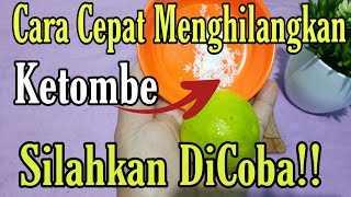 Cara Cepat Menghilangkan Ketombe Secara Alami