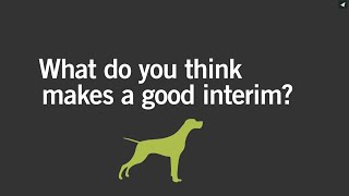 Q&A: What do you think makes a good interim?