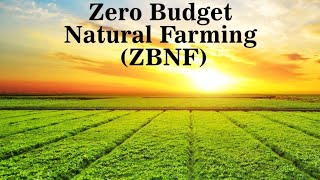 ZERO BUDGET NATURAL FARMING IN INDIA || JEEVAMRIT PREPRATION METHOD|| प्राकृतिक खेती || ZBNF MODEL