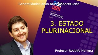 03 NUEVA CONSTITUCIÓN: Estado Plurinacional