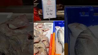 🐟🍴 From Market to Table: Delicious Reasons ☝️ To Visit #Toulouse  #MarketToTable #France #Shorts