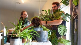 Repotting the Monstera with Jamie