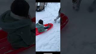 Lovely moments in snow #shortsfeed #shorts #shortsviral #shortsyoutube #shortsvideo  #funnyvideo