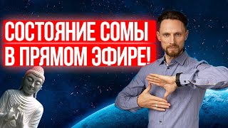 Состояние сомы в прямом эфире / ответы на вопросы часть 2