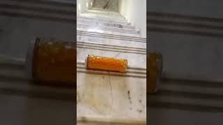 BOTTLE ON STAIRS 🔥 MUST-WATCH VIRAL VIDEO! 🎥 Unbelievable Moments Caught on Camera!  #shorts