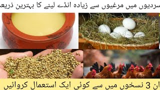 Murgi Anda Na De To Kya Karen? | How toEnhance Hens Eggs Production-By DR.M.ASIF