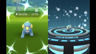 ✨ SHINY ✨  Electrike evolution into Manectric in Pokemon GO !!! Trainer Ari