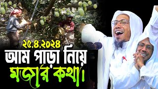 আম পাড়া নিয়ে মজার কথা। রফিক উল্লাহ আফসারী rofiqullah afsari new waz 2024 afsari new waz | waz 2024