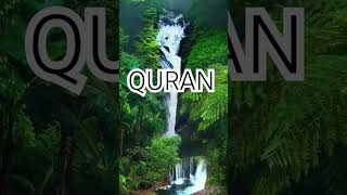 Surah Anam Ayat No 154-157 urdu translation #shorts#reels #islamic#video