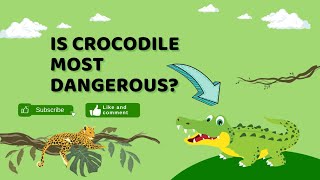 Crocodile stealthy Ambush Predators