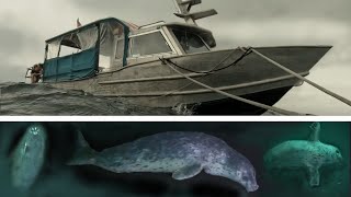 Lessons of the Rivtow Lion | Scuba Diver Encounters Harbour Seal on a Shipwreck