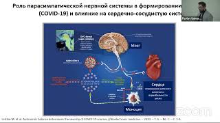 ФП и СOVID-19. Факторы риска и прогноз сердечно- сосудистых осложнений