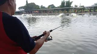 MEMANCING DI AIR JERNIH