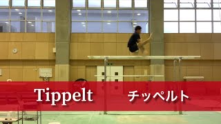 【Training progression】How many days to learn Tippelt ?【Gymnastics】