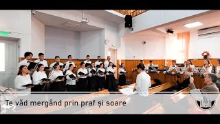 Te vad mergand prin praf si soare - Concert Paste BER 2023