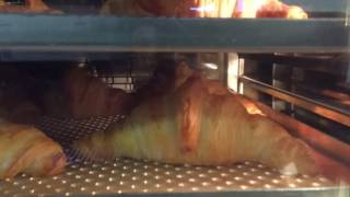 Handmade Croissant bake time lapse