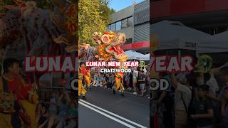 Lunar New Year Festival in Sydney🎊🧧 #yearofthedragon #lunarnewyear #chinesenewyear