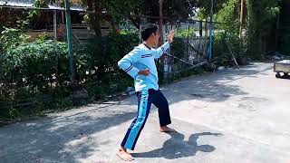 Gerakan silat