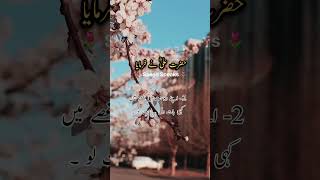 Hazrat Ali Best Quotes Dost Ki 2 Bato Ka Gusa Nahi Karna Chahiay #shorts #youtubeshorts #viral