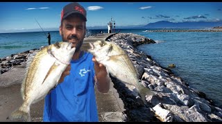 ( DORADAS A SURFCASTING ) JORNADA POR DERECHO