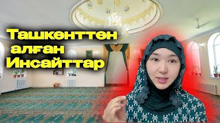 Салауатты неге тоқтатпау керек?| Саяхаттан алған инсайттар