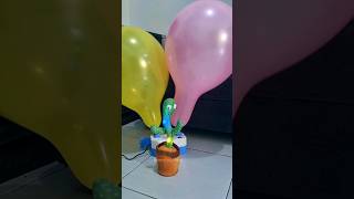 Cactus vs Balloon #shortvideo #shorts